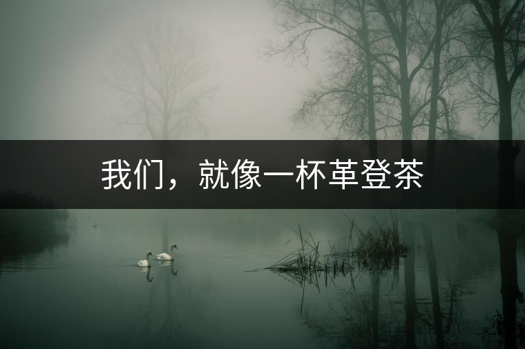 我們，就像一杯革登茶