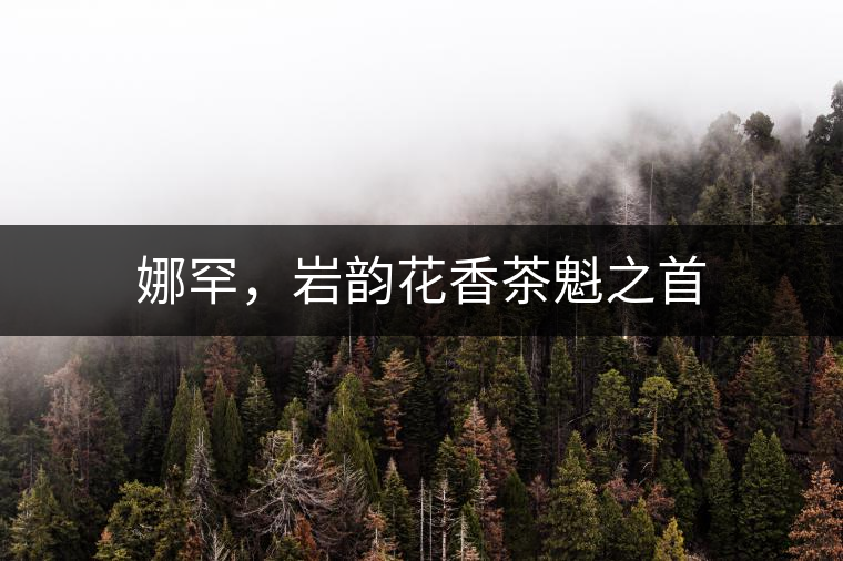 娜罕，巖韻花香茶魁之首