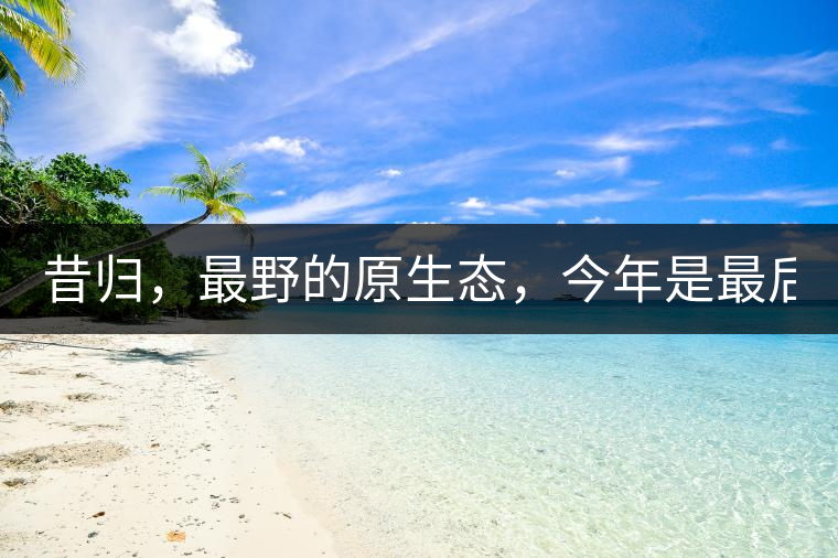 昔歸，最野的原生態(tài)，今年是最后一年了！