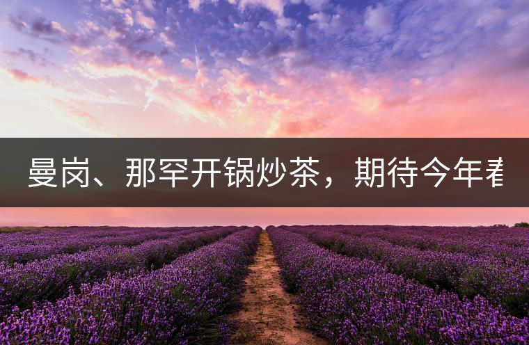 曼崗、那罕開鍋炒茶，期待今年春茶！