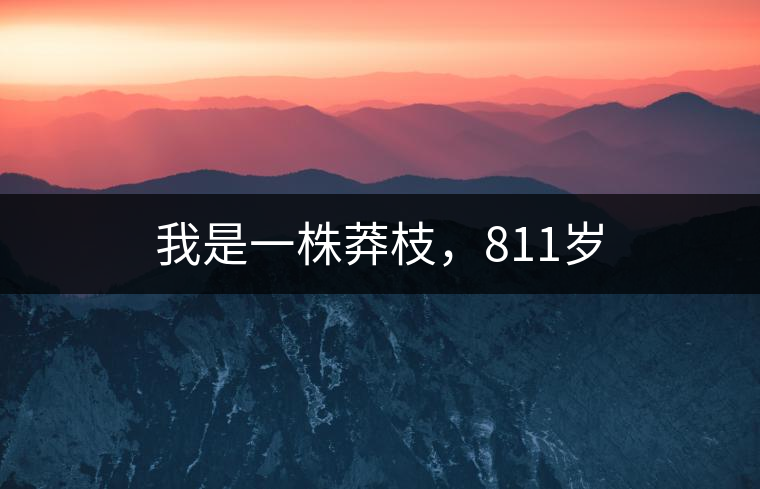 我是一株莽枝，811歲