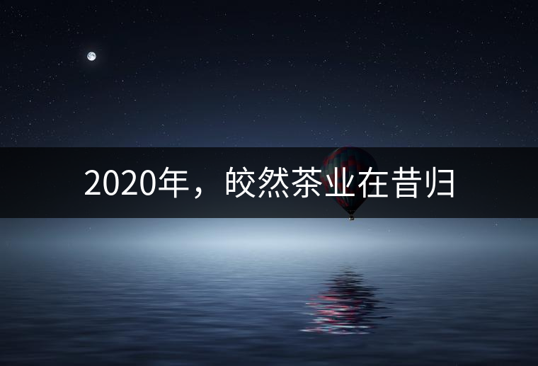 2020年，皎然茶業(yè)在昔歸