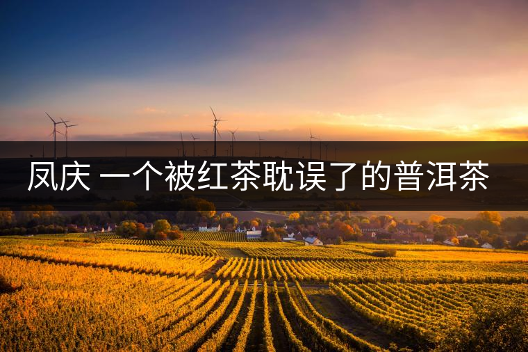 鳳慶 一個(gè)被紅茶耽誤了的普洱茶基地 鳳慶 一個(gè)被紅茶耽誤了的普洱茶基地