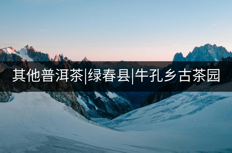 其他普洱茶|綠春縣|?？奏l(xiāng)古茶園