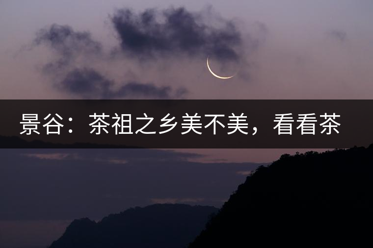 景谷：茶祖之鄉(xiāng)美不美，看看茶山和美人