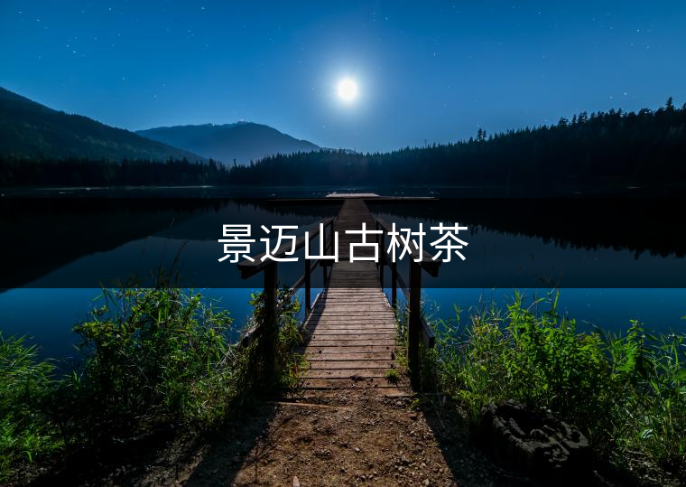 景邁山古樹(shù)茶