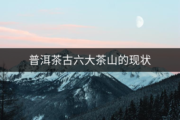 普洱茶古六大茶山的現狀 普洱茶古六大茶山的現狀