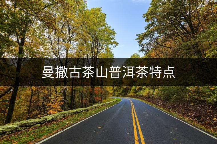 曼撒古茶山普洱茶特點(diǎn) 曼撒古茶山普洱茶特點(diǎn)