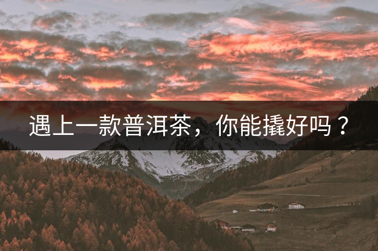 遇上一款普洱茶，你能撬好嗎 ？