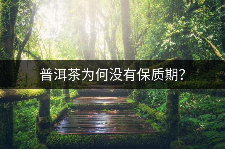 普洱茶為何沒有保質(zhì)期？