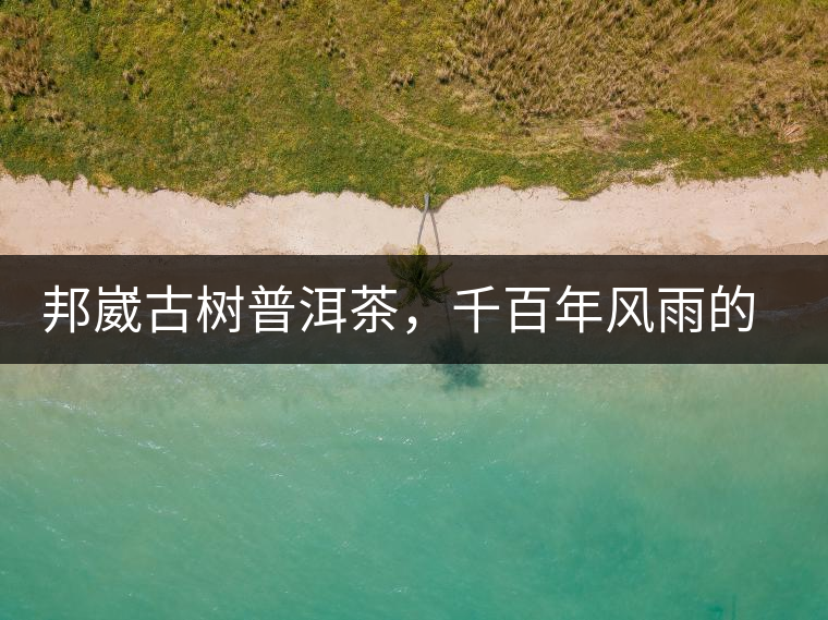 邦崴古樹普洱茶，千百年風雨的洗禮