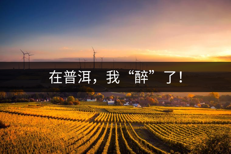 在普洱，我“醉”了！