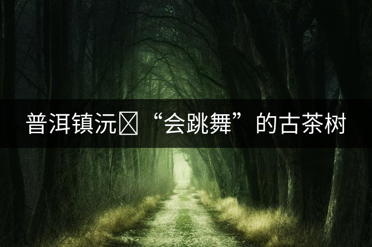 普洱鎮(zhèn)沅?“會(huì)跳舞”的古茶樹 普洱鎮(zhèn)沅?“會(huì)跳舞”的古茶樹