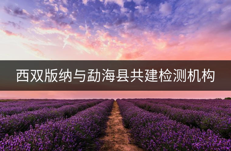 西雙版納與勐?？h共建檢測(cè)機(jī)構(gòu)