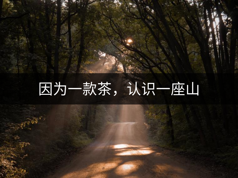 因?yàn)橐豢畈瑁J(rèn)識一座山 因?yàn)橐豢畈瑁J(rèn)識一座山