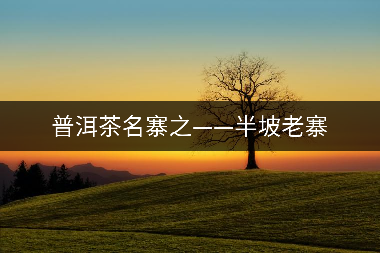 普洱茶名寨之——半坡老寨