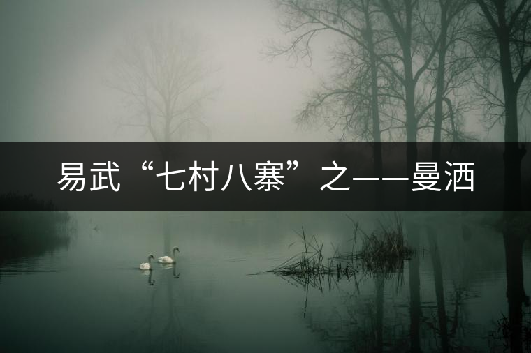 易武“七村八寨”之——曼灑 易武“七村八寨”之——曼灑