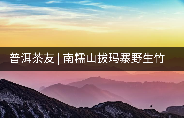 普洱茶友 | 南糯山拔瑪寨野生竹蓀給看過? 普洱茶友 | 南糯山拔瑪寨野生竹蓀給看過?