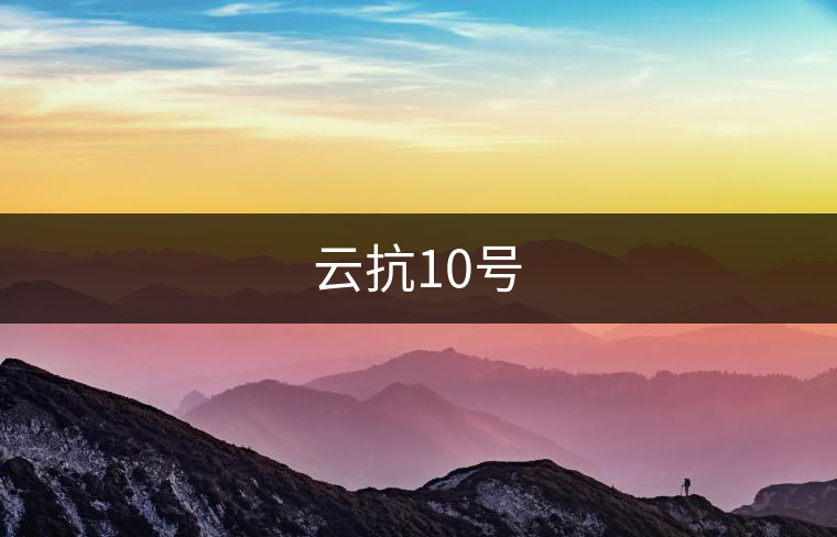 云抗10號(hào)