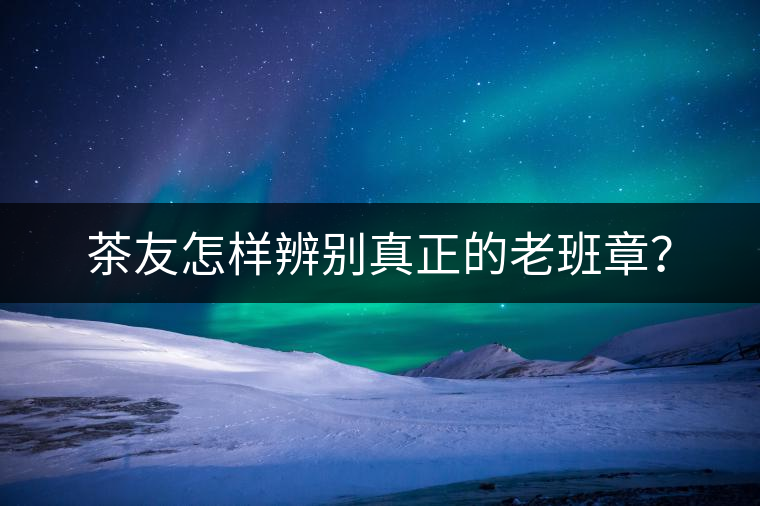 茶友怎樣辨別真正的老班章？