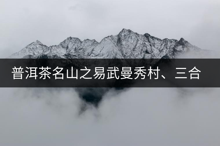 普洱茶名山之易武曼秀村、三合社村