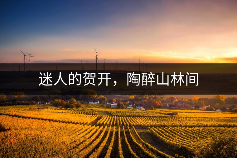 迷人的賀開，陶醉山林間