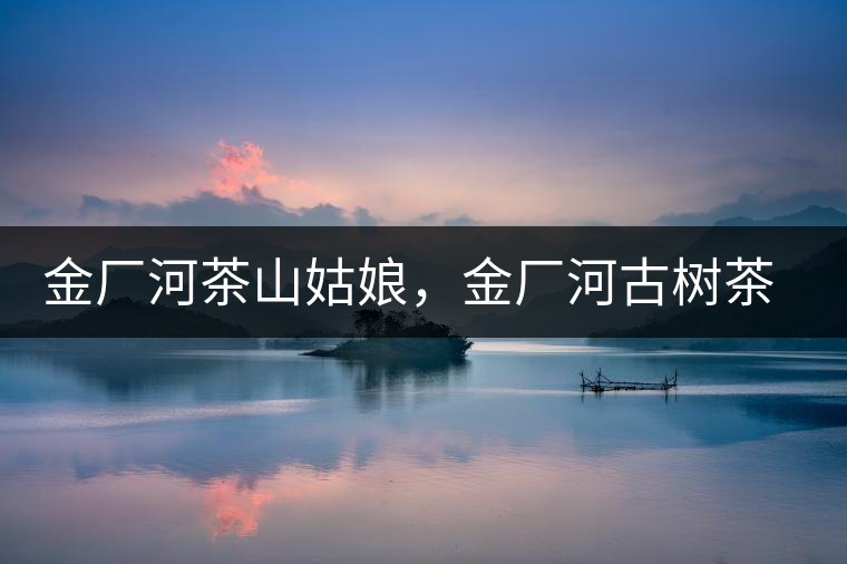 金廠河茶山姑娘，金廠河古樹茶特點與價格