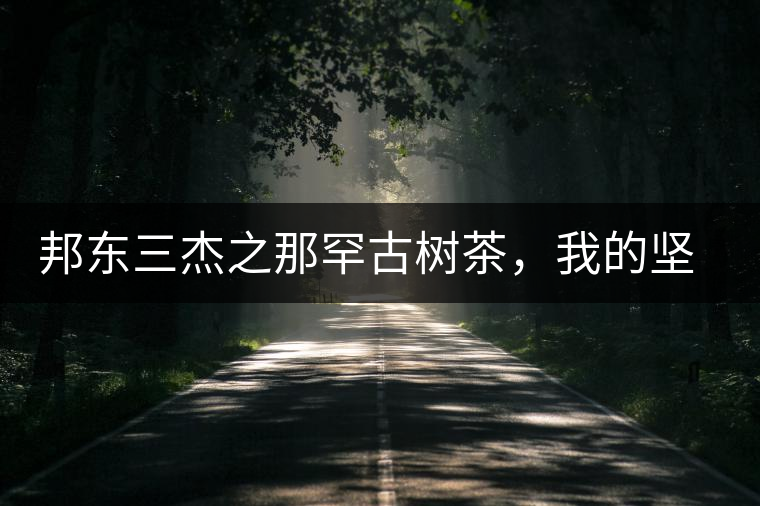 邦東三杰之那罕古樹茶，我的堅持