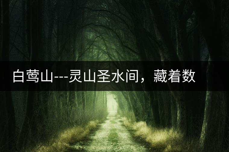 白鶯山---靈山圣水間，藏著數(shù)不盡的佛茶佳話