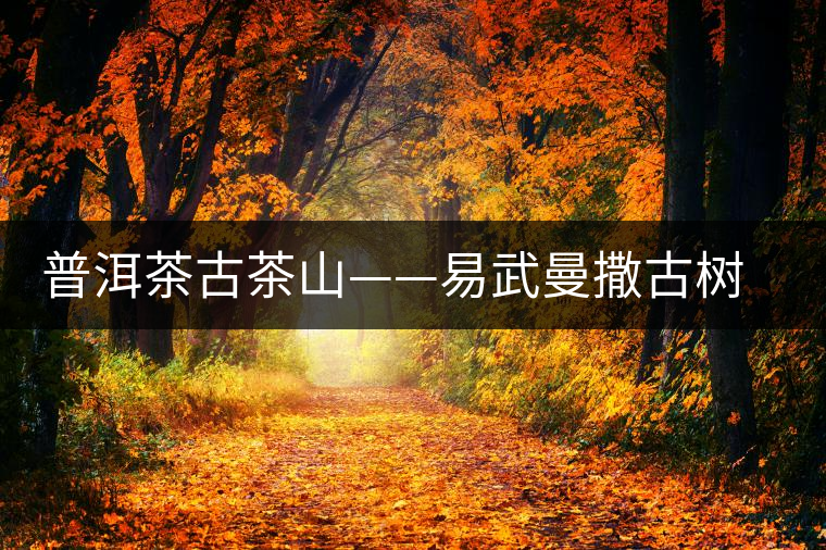 普洱茶古茶山——易武曼撒古樹茶 普洱茶古茶山——易武曼撒古樹茶