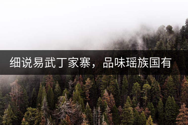 細(xì)說易武丁家寨，品味瑤族國有林古樹普洱茶