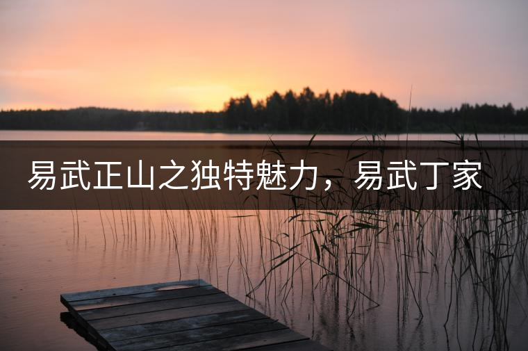 易武正山之獨特魅力，易武丁家寨介紹品鑒