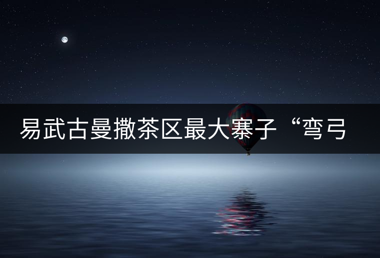 易武古曼撒茶區(qū)最大寨子“彎弓”丁家寨茶山實(shí)錄 易武古曼撒茶區(qū)最大寨子“彎弓”丁家寨茶山實(shí)錄