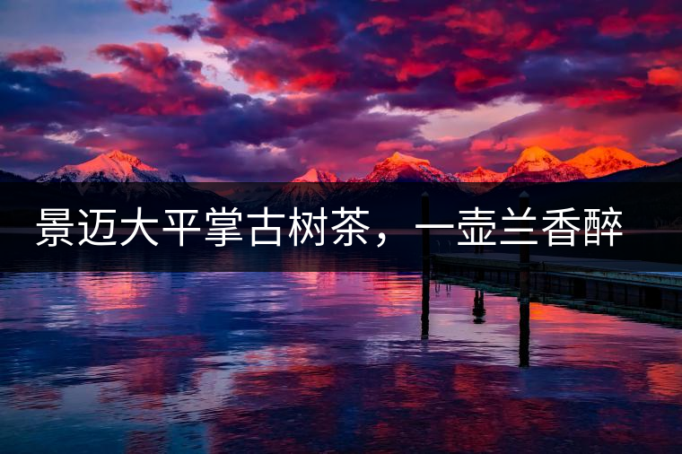 景邁大平掌古樹茶，一壺蘭香醉春秋