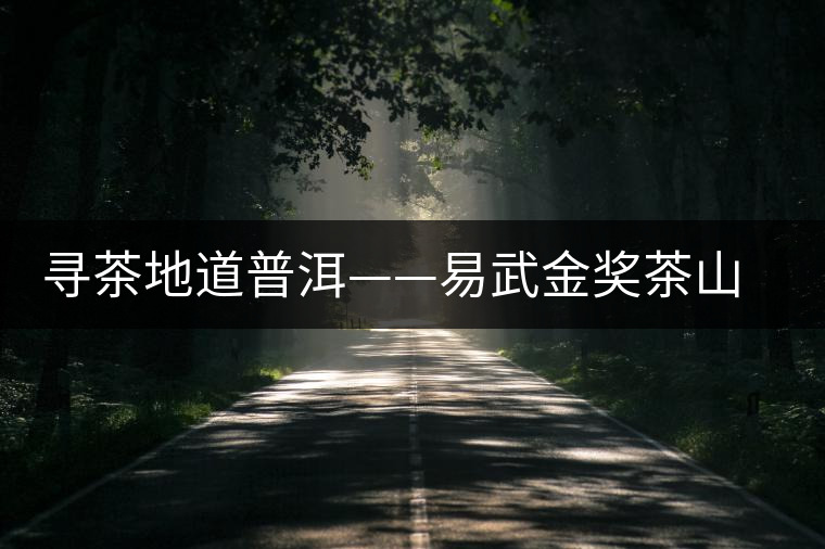 尋茶地道普洱——易武金獎茶山曼秀 尋茶地道普洱——易武金獎茶山曼秀