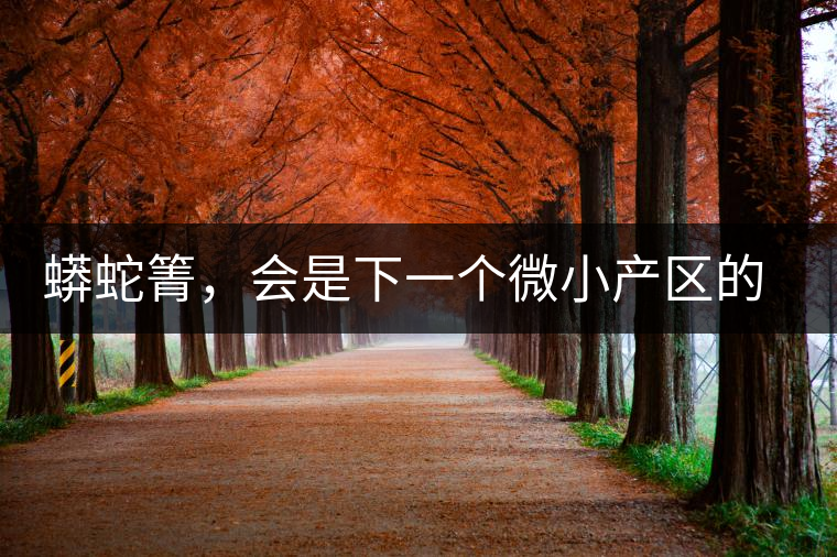 蟒蛇箐，會是下一個微小產(chǎn)區(qū)的熱門山頭嗎？