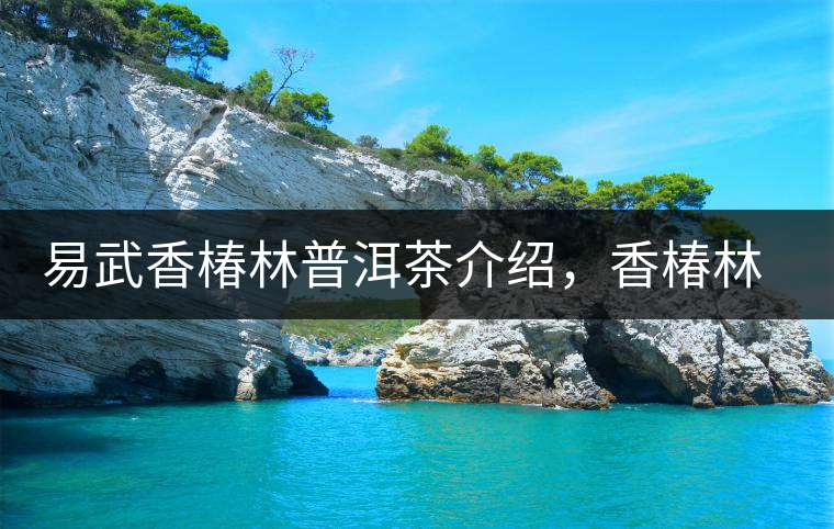 易武香椿林普洱茶介紹，香椿林古樹茶口感特點(diǎn)