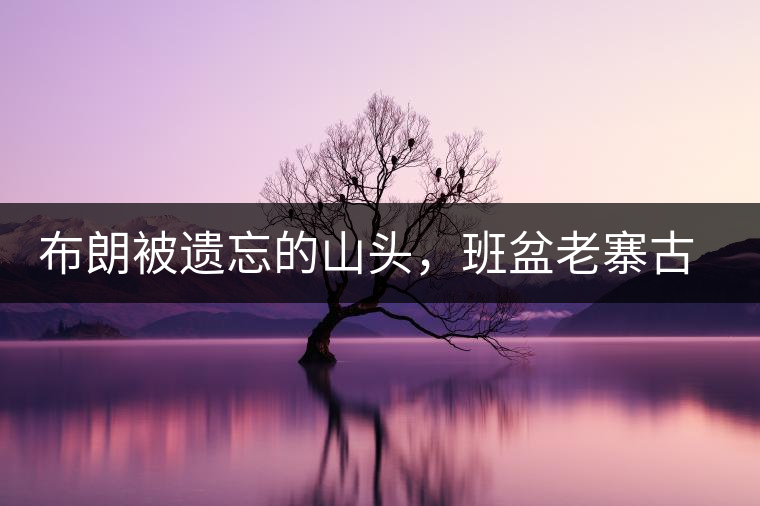 布朗被遺忘的山頭，班盆老寨古茶園介紹