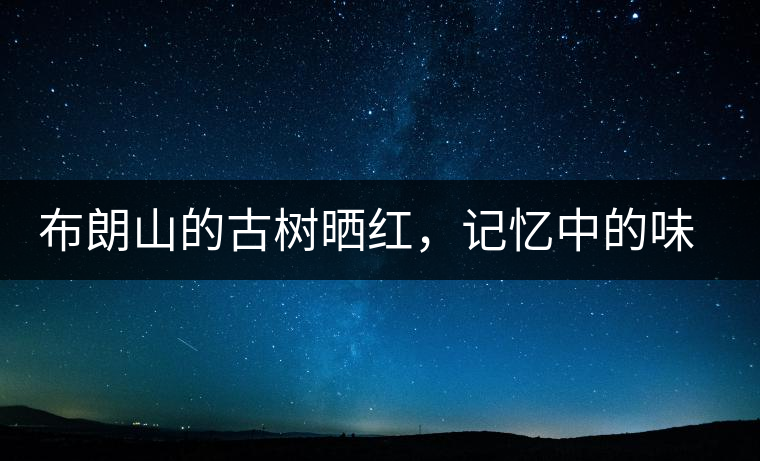 布朗山的古樹曬紅，記憶中的味道