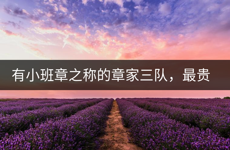 有小班章之稱的章家三隊(duì)，最貴的小樹(shù)茶