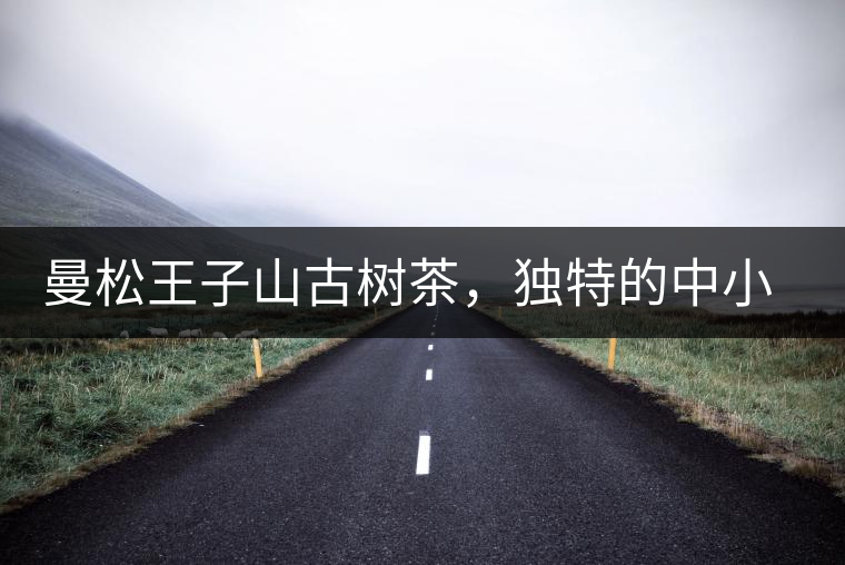 曼松王子山古樹茶，獨(dú)特的中小葉種珍品貢茶