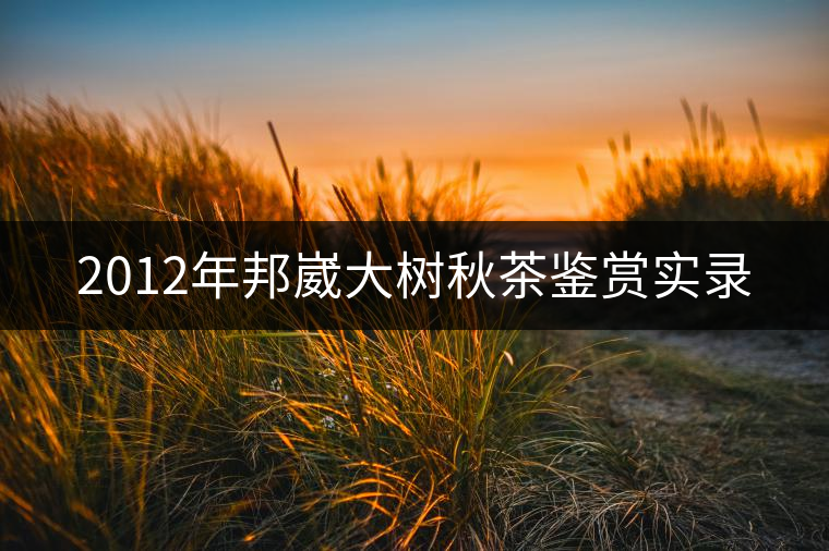 2012年邦崴大樹秋茶鑒賞實(shí)錄 2012年邦崴大樹秋茶鑒賞實(shí)錄