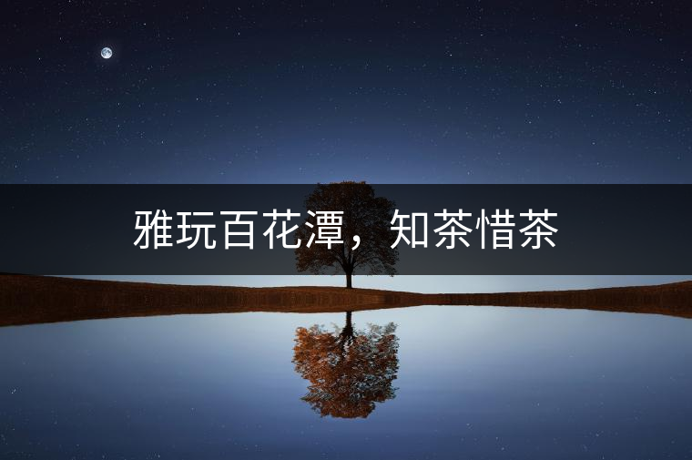 雅玩百花潭，知茶惜茶