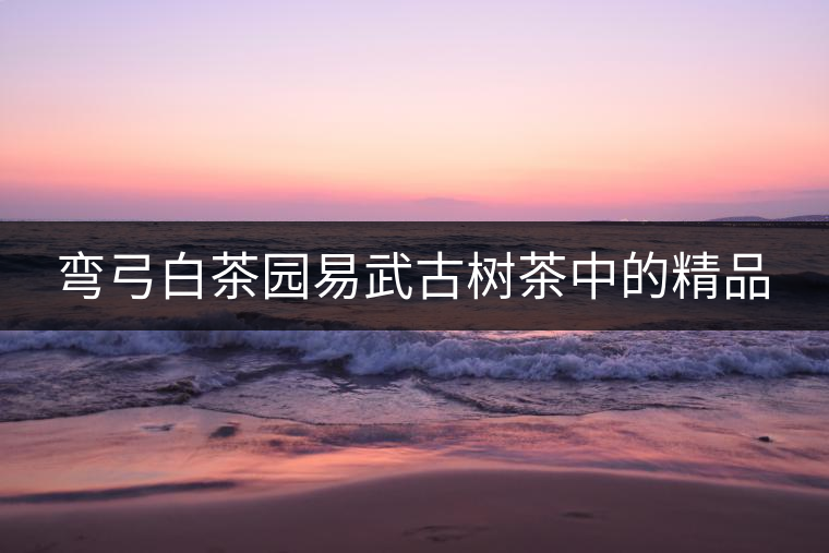 彎弓白茶園易武古樹(shù)茶中的精品