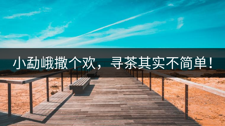 小勐峨撒個歡，尋茶其實不簡單！