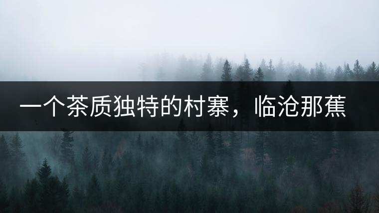 一個茶質(zhì)獨(dú)特的村寨，臨滄那蕉古樹茶介紹