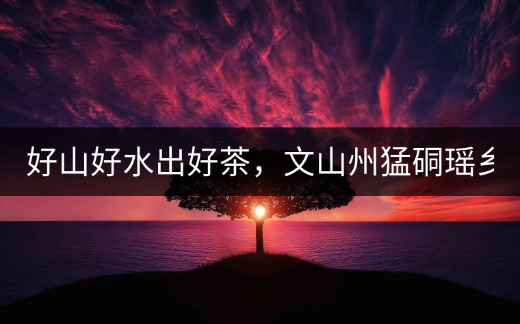 好山好水出好茶，文山州猛硐瑤鄉(xiāng)茶！
