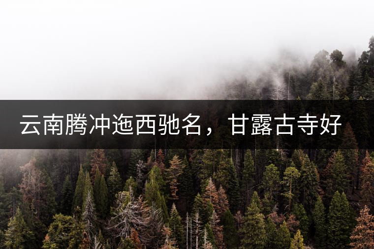 云南騰沖迤西馳名，甘露古寺好茶