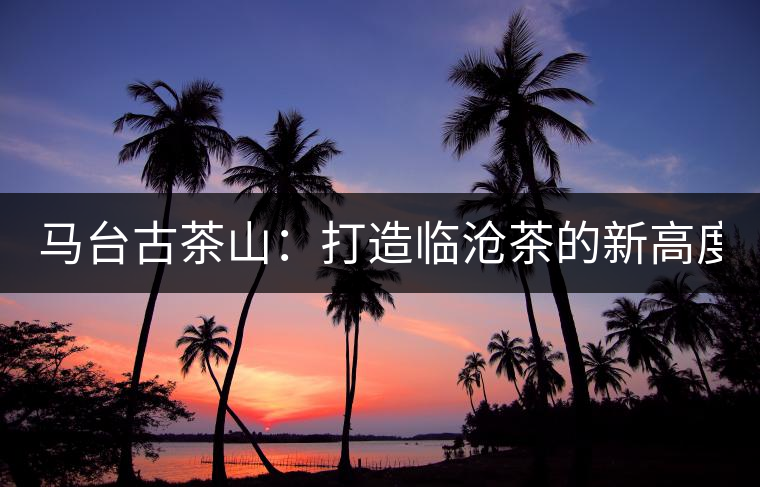 馬臺(tái)古茶山：打造臨滄茶的新高度？