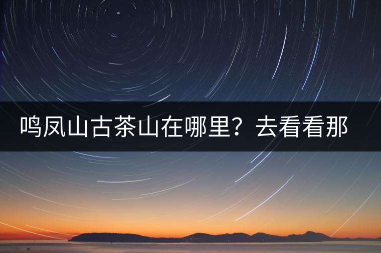 鳴鳳山古茶山在哪里？去看看那鳳凰曾經(jīng)落腳的地方
